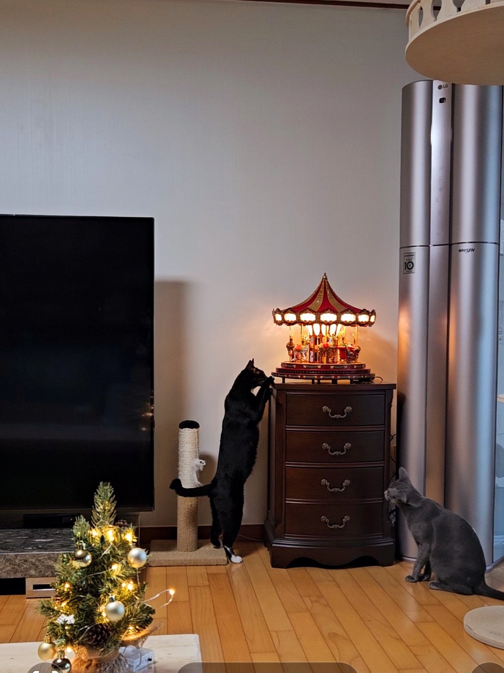 작성자 프로필 이미지