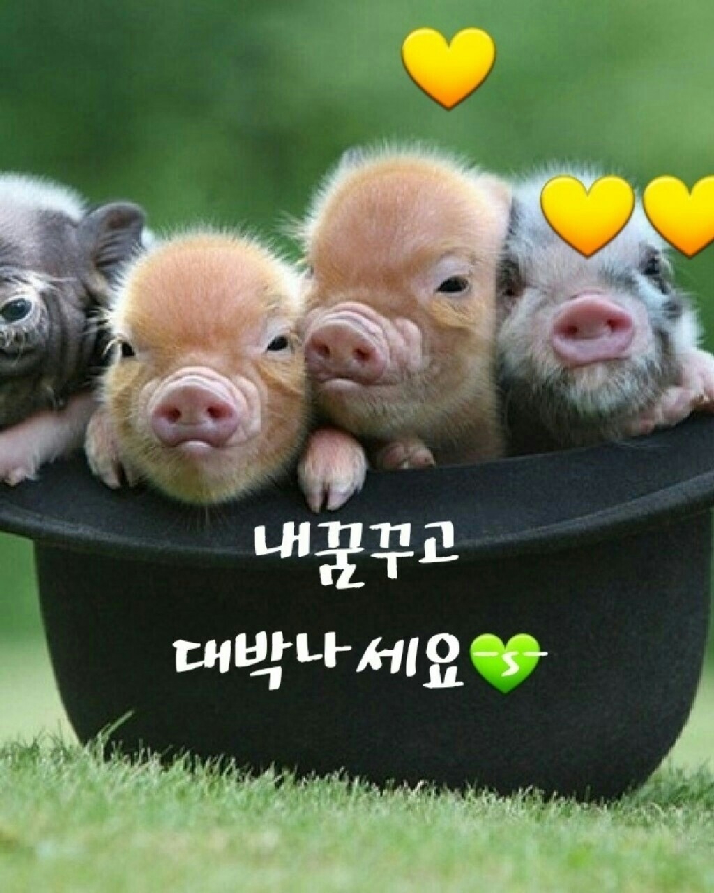 작성자 프로필 이미지