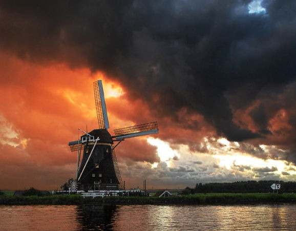 작성자 프로필 이미지