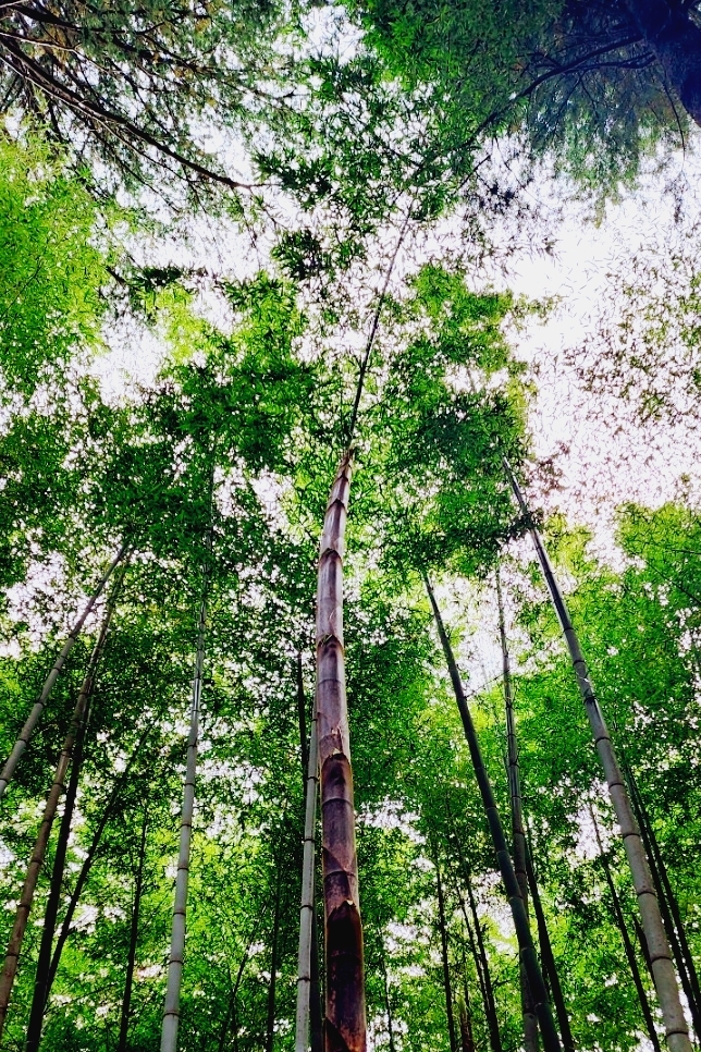 작성자 프로필 이미지