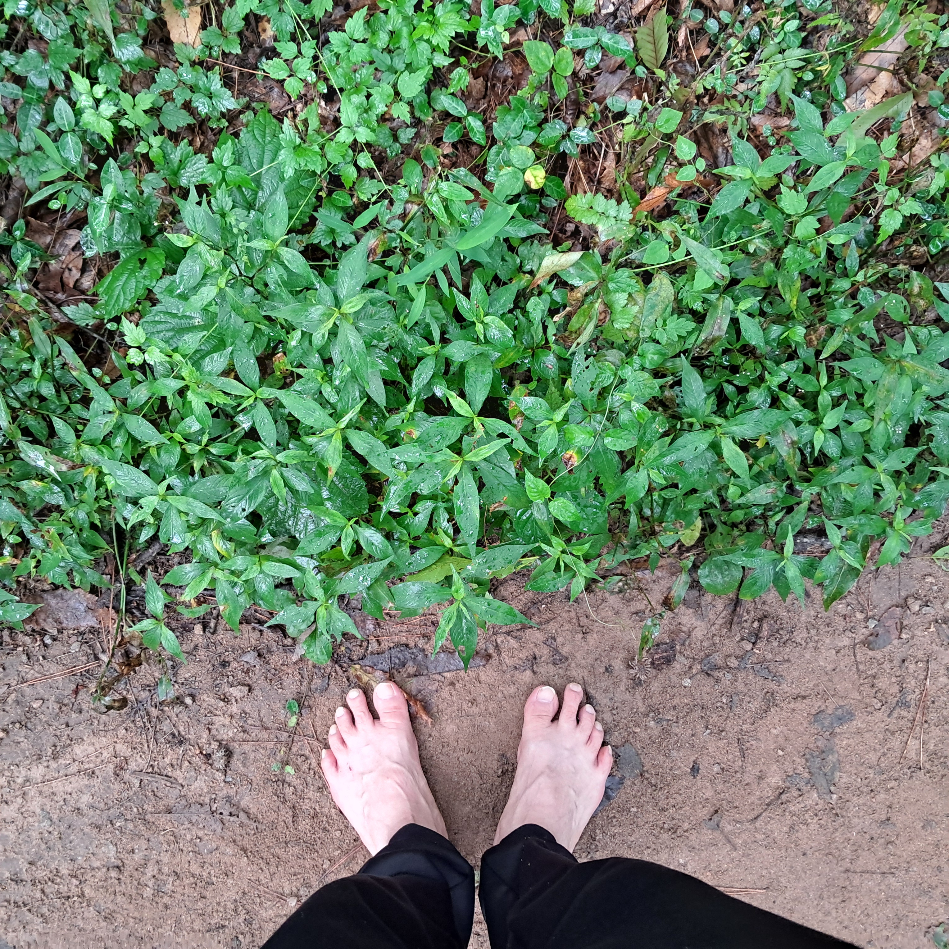 작성자 프로필 이미지