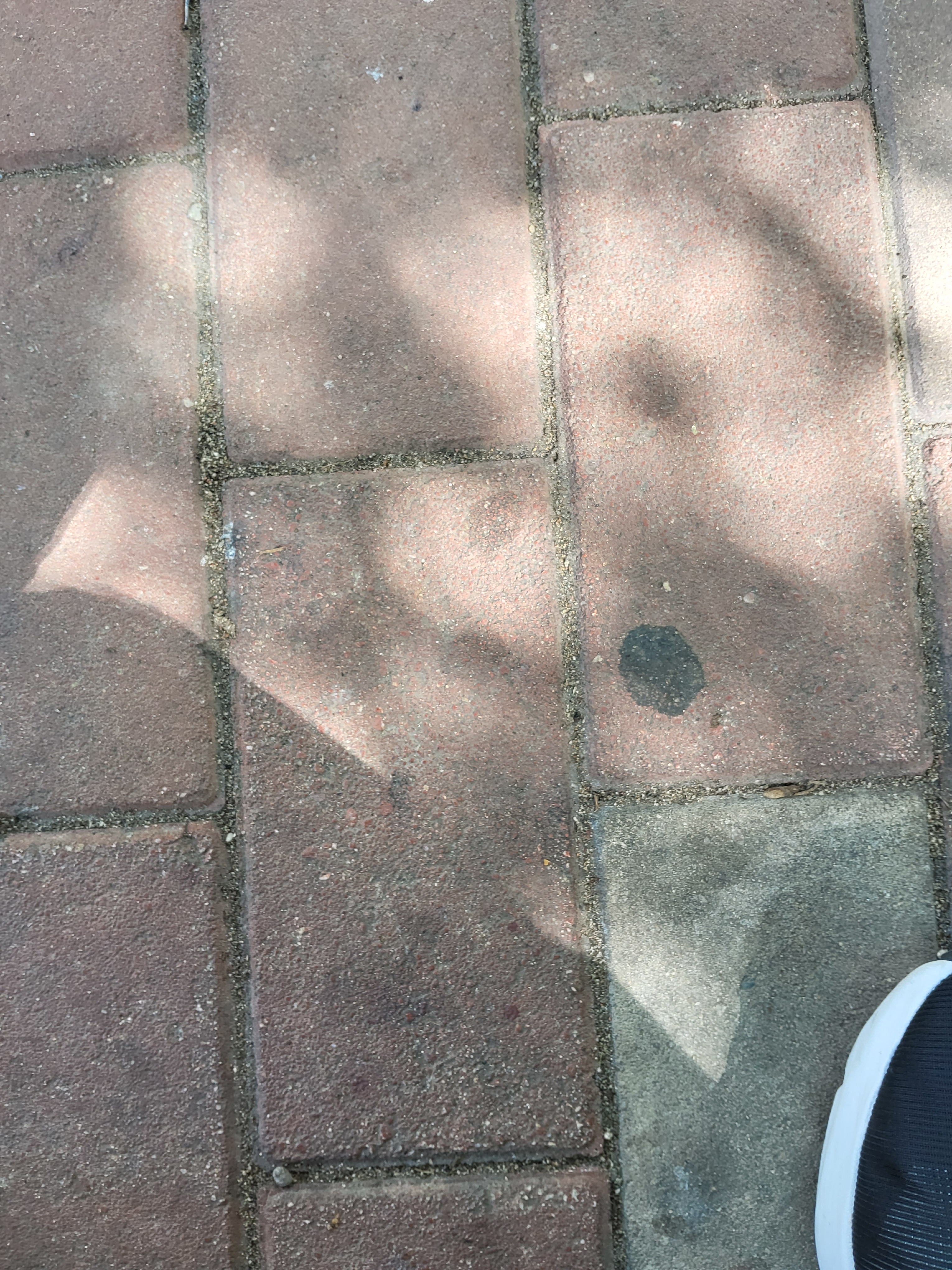 작성자 프로필 이미지