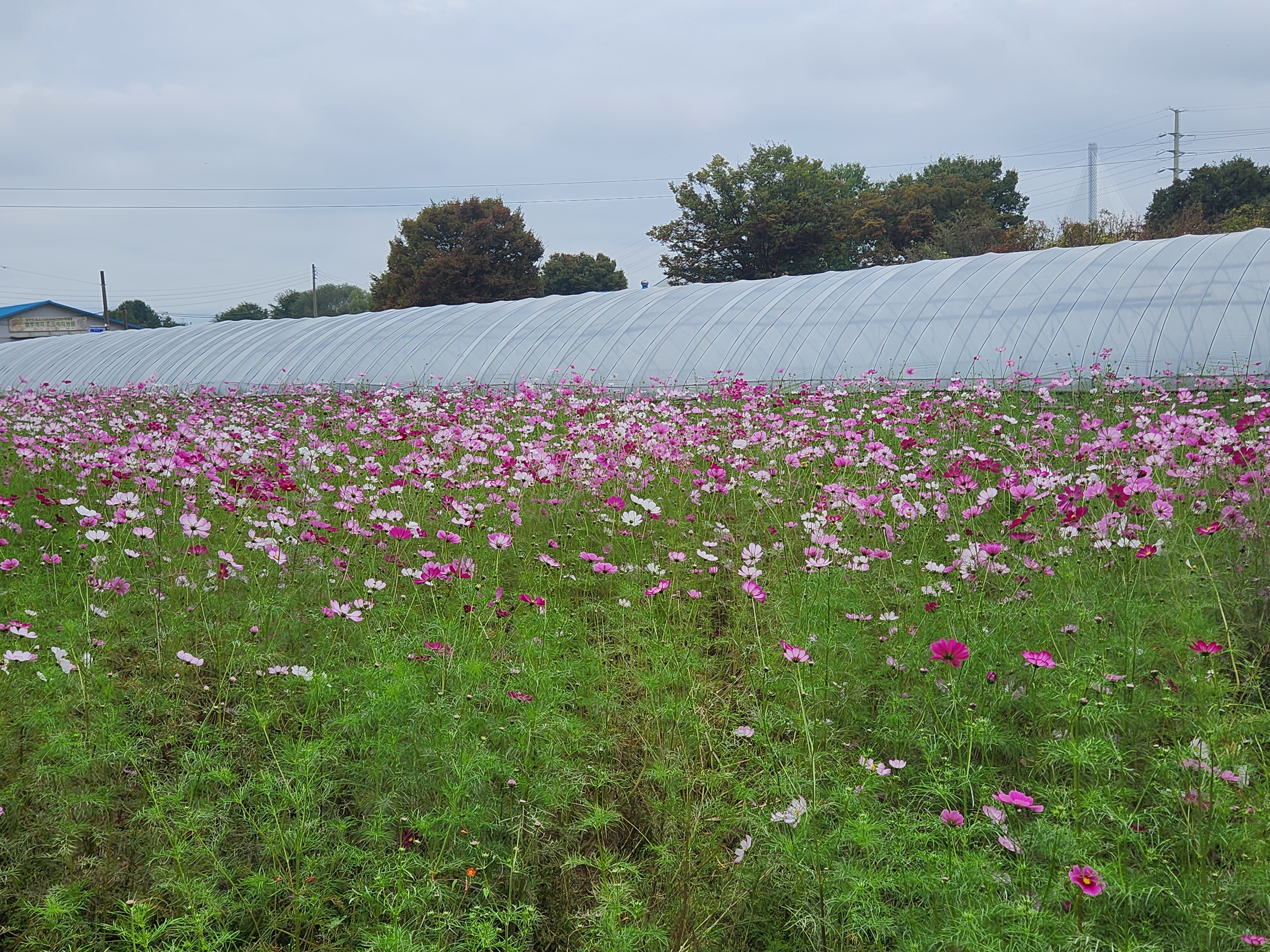 작성자 프로필 이미지