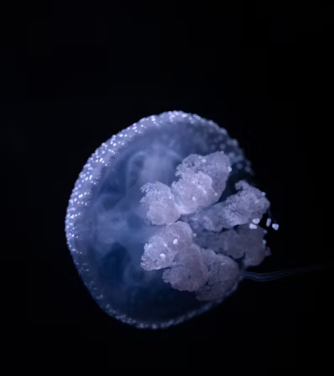 작성자 프로필 이미지