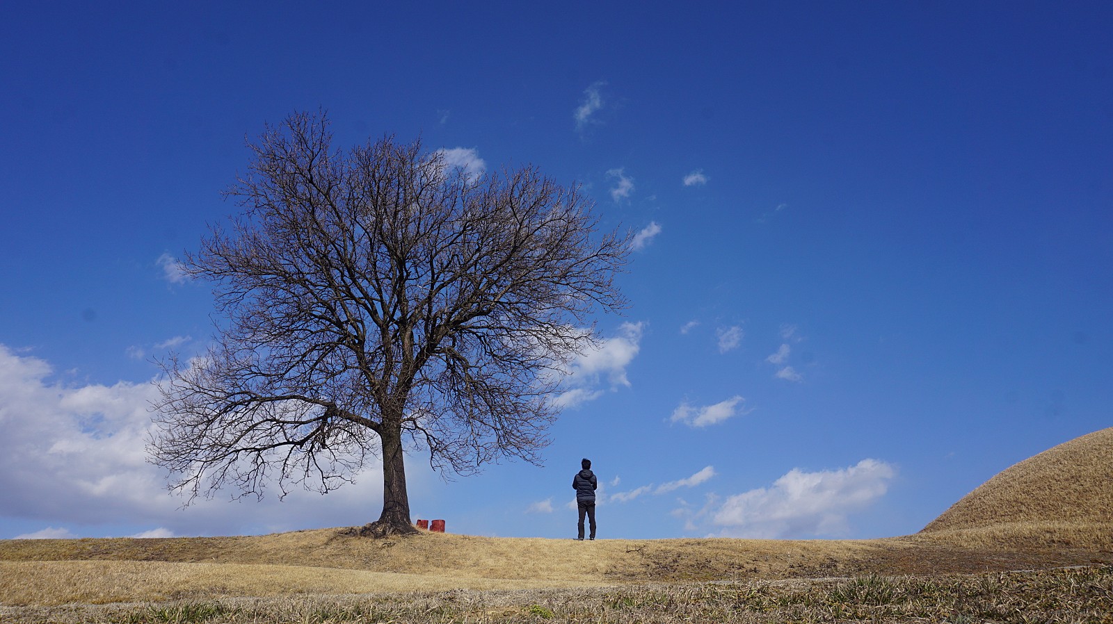 작성자 프로필 이미지