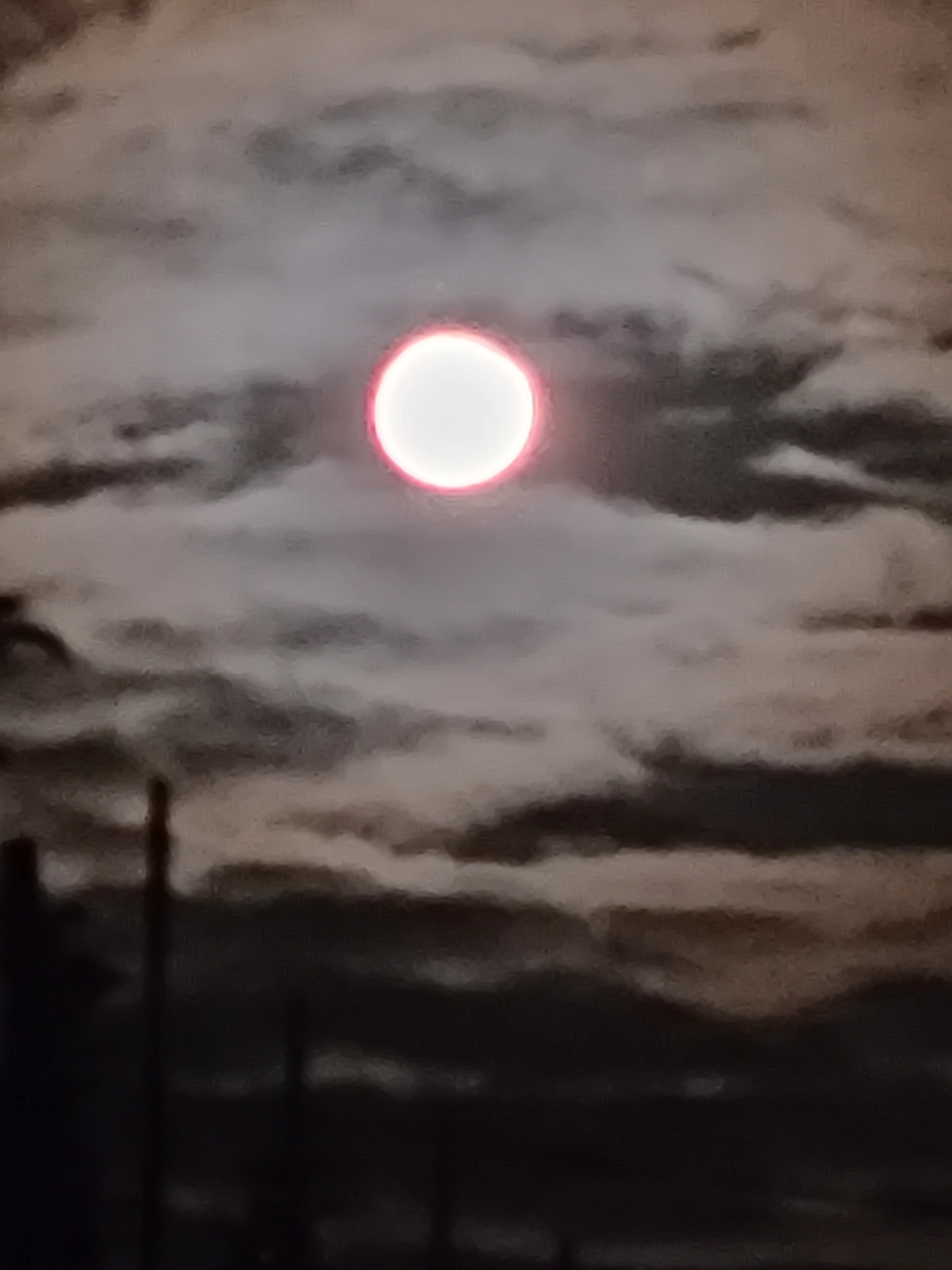 작성자 프로필 이미지