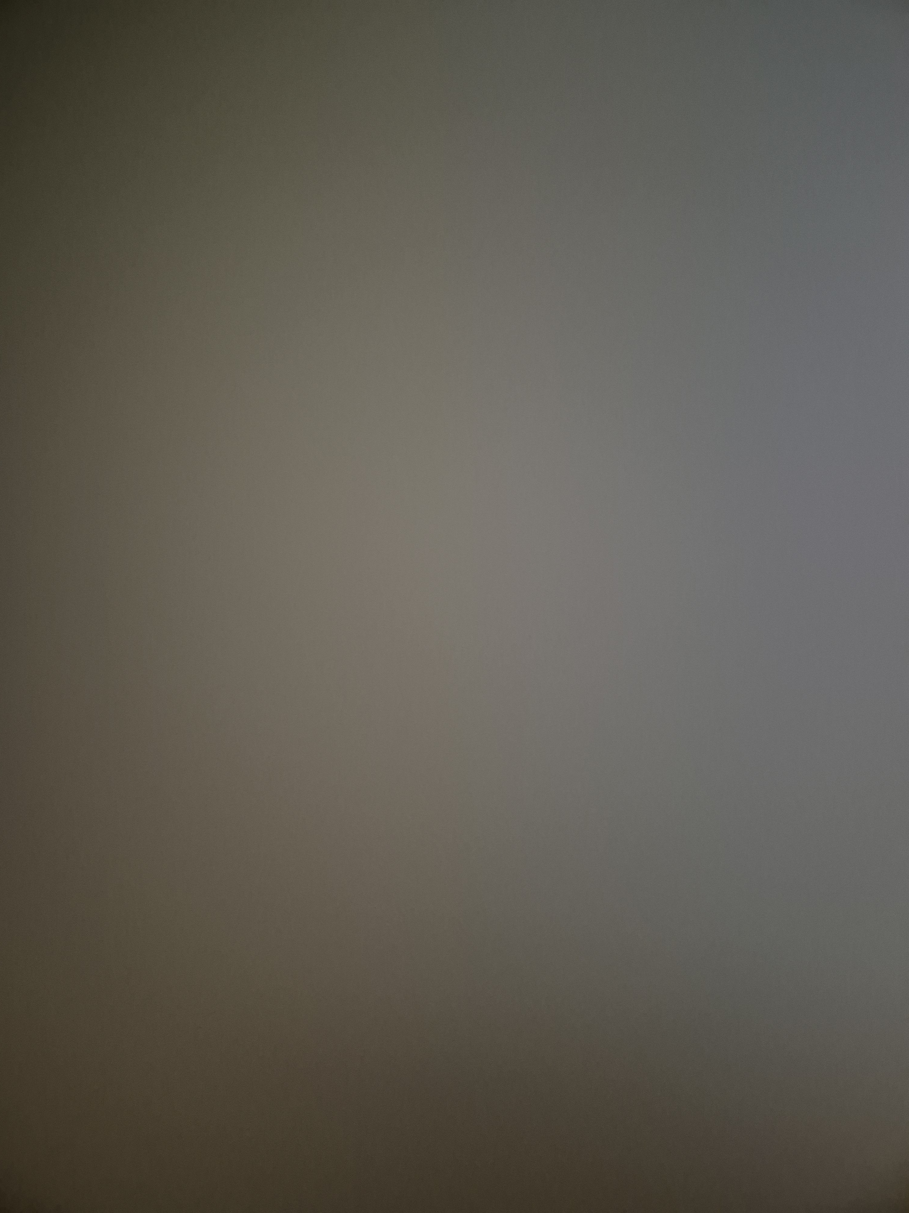 작성자 프로필 이미지