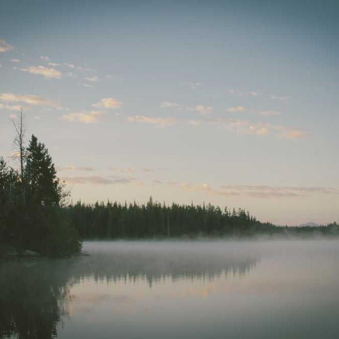 작성자 프로필 이미지