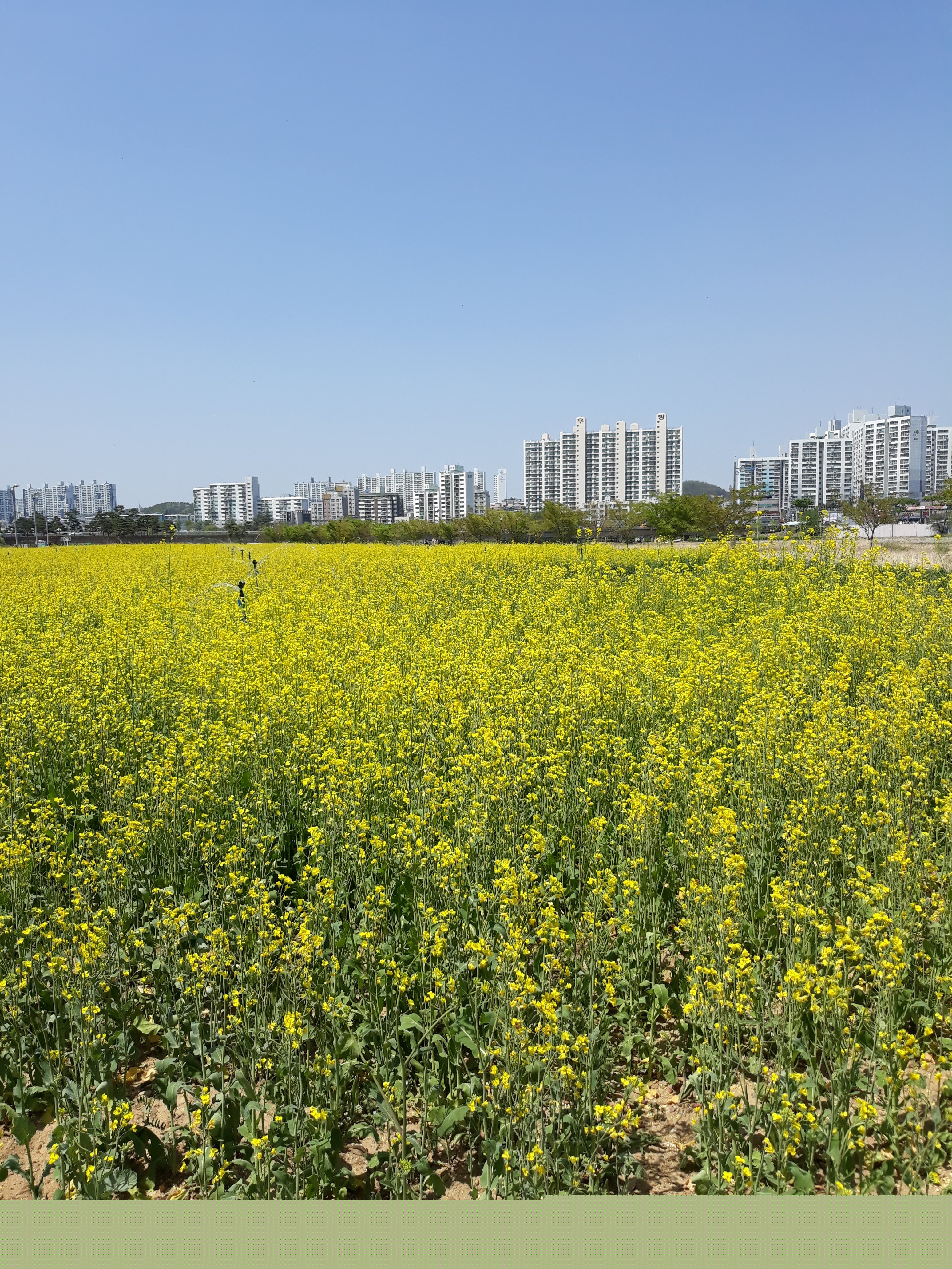 작성자 프로필 이미지