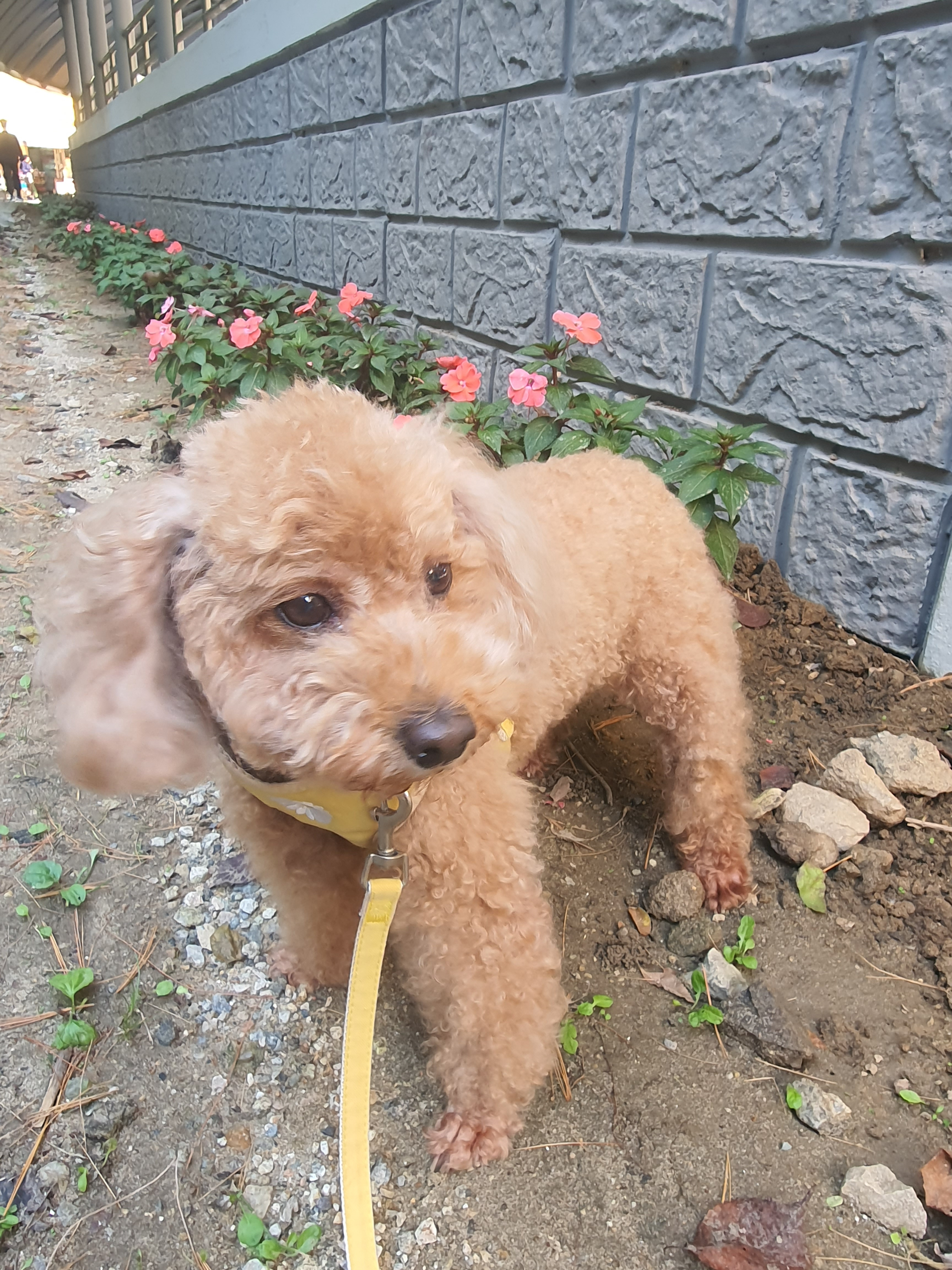 작성자 프로필 이미지