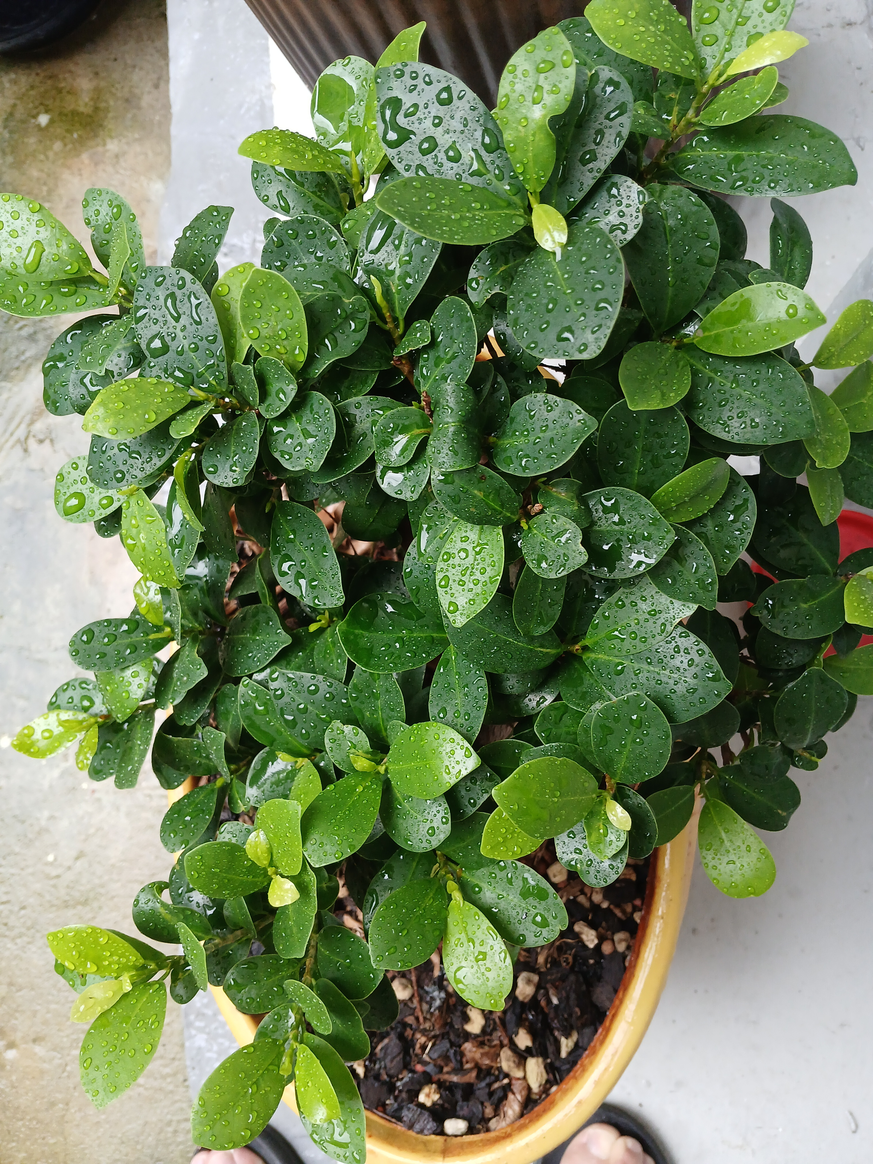 작성자 프로필 이미지