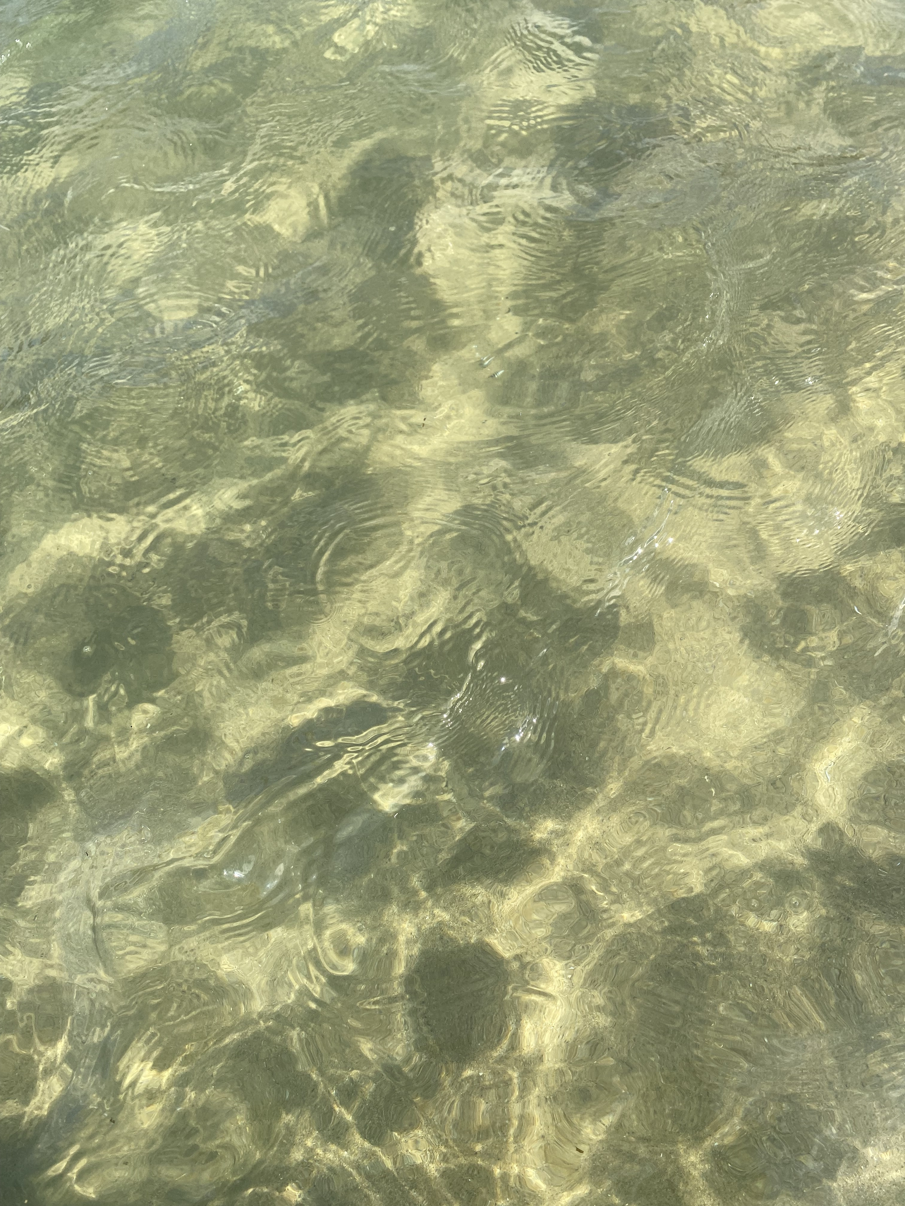 작성자 프로필 이미지