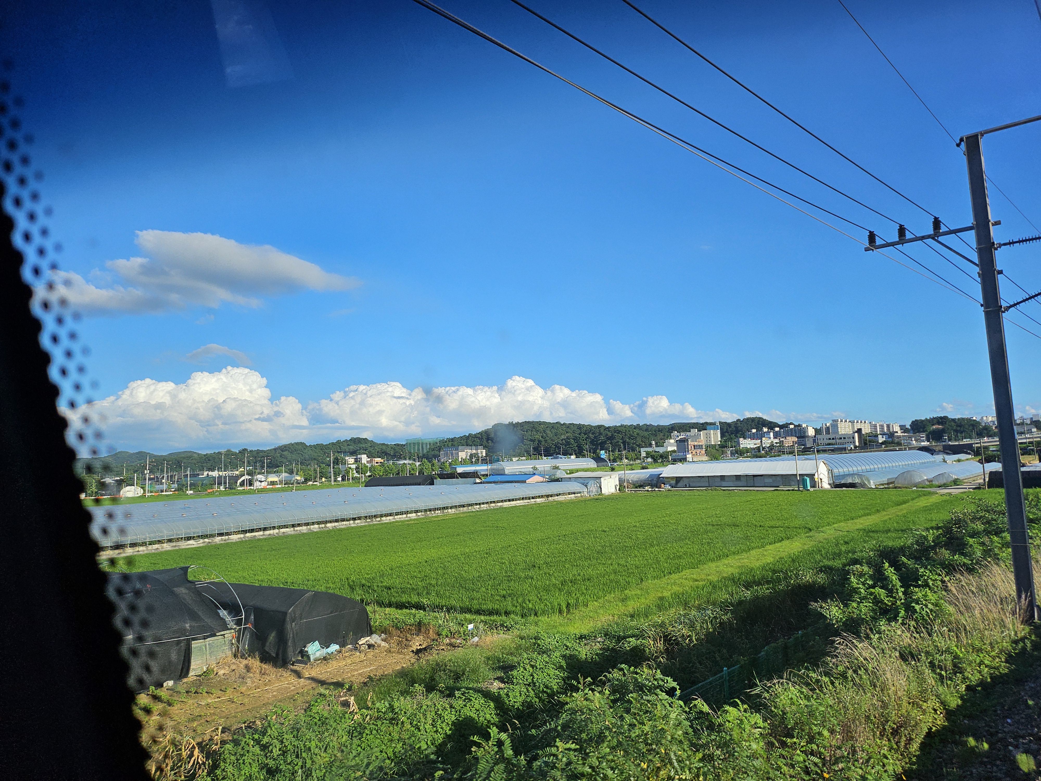 작성자 프로필 이미지