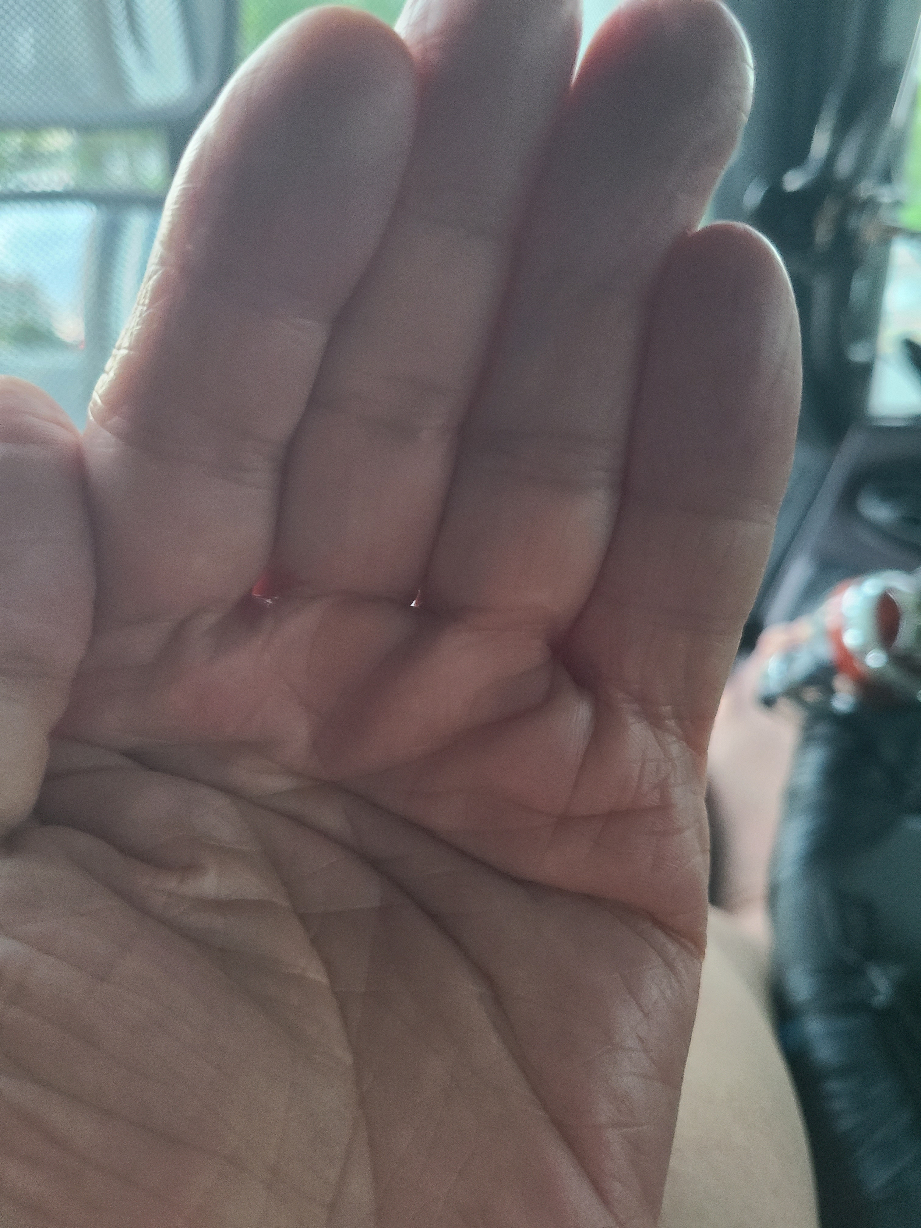 작성자 프로필 이미지