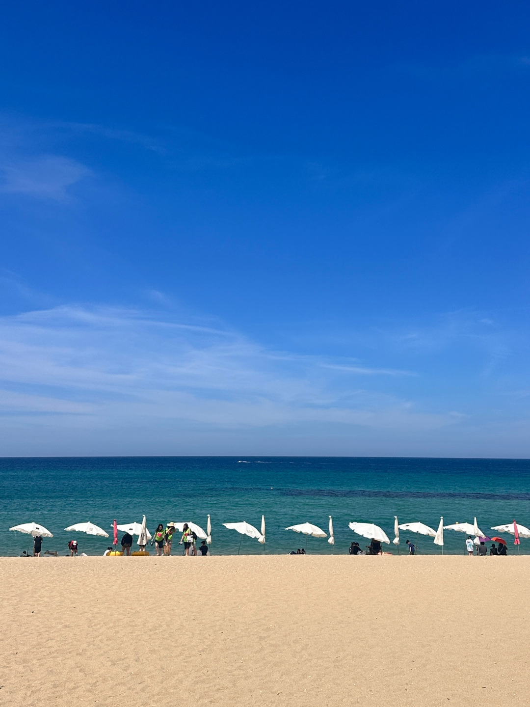 작성자 프로필 이미지