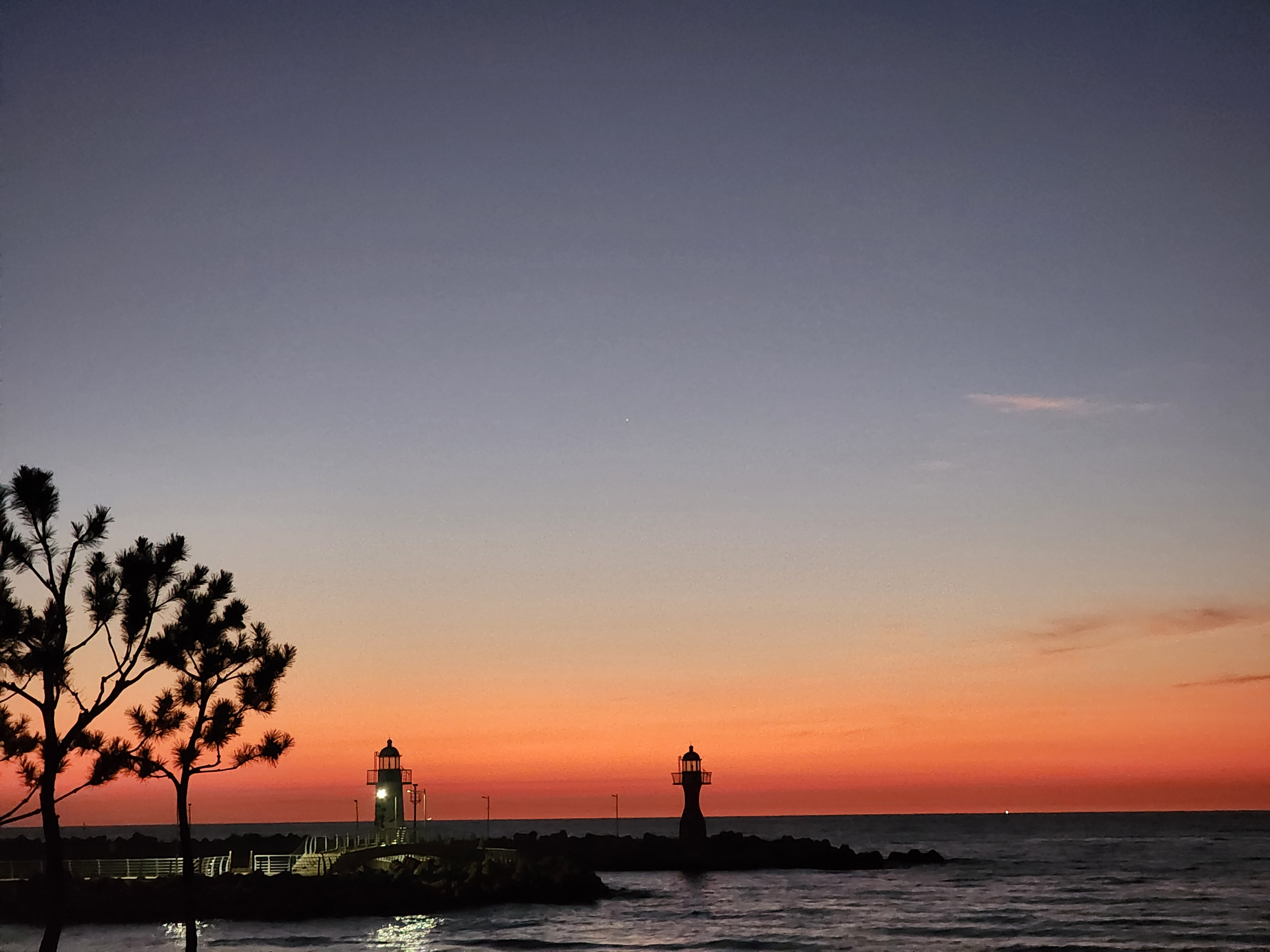 작성자 프로필 이미지