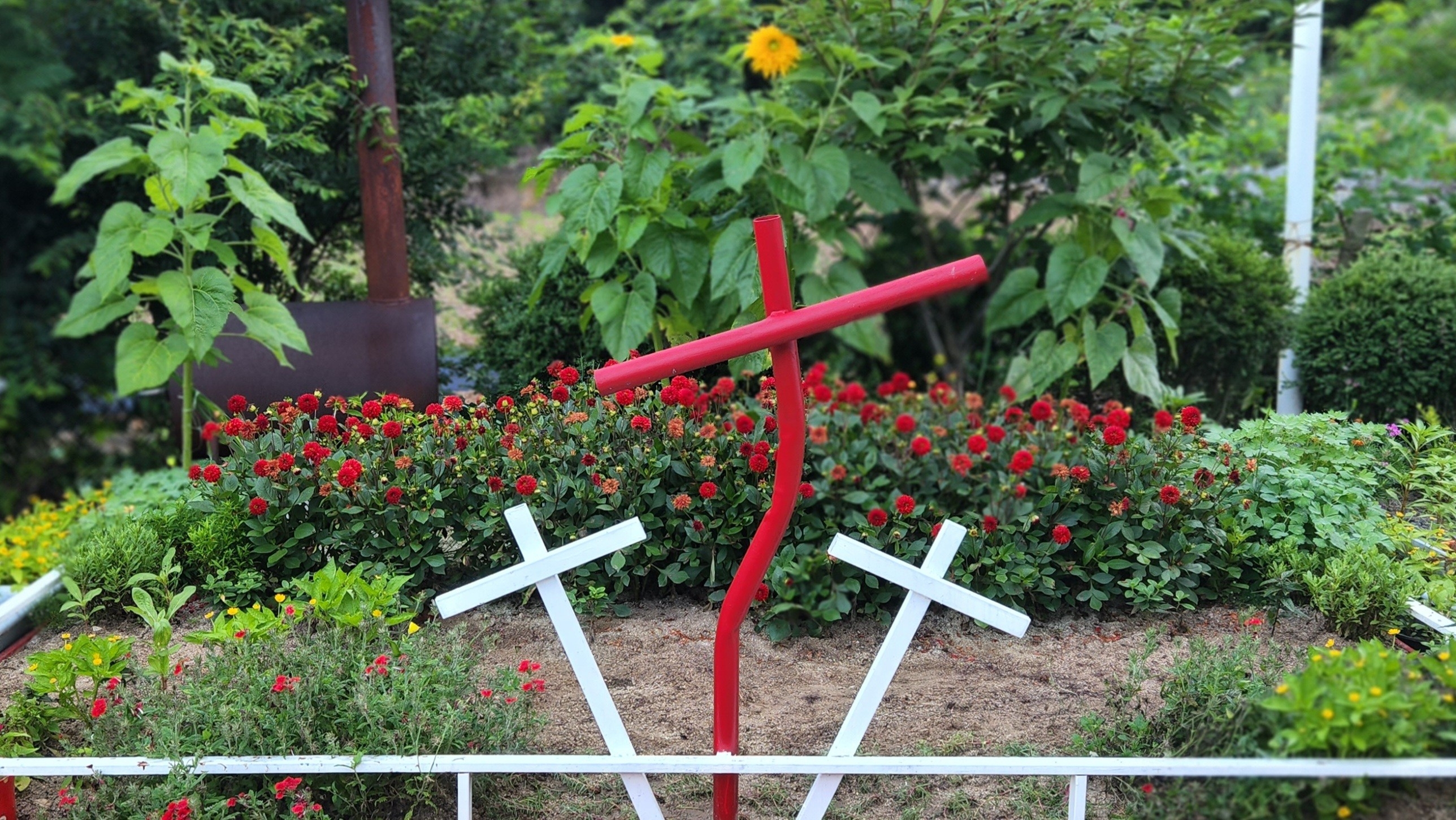 작성자 프로필 이미지