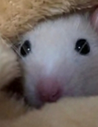 작성자 프로필 이미지