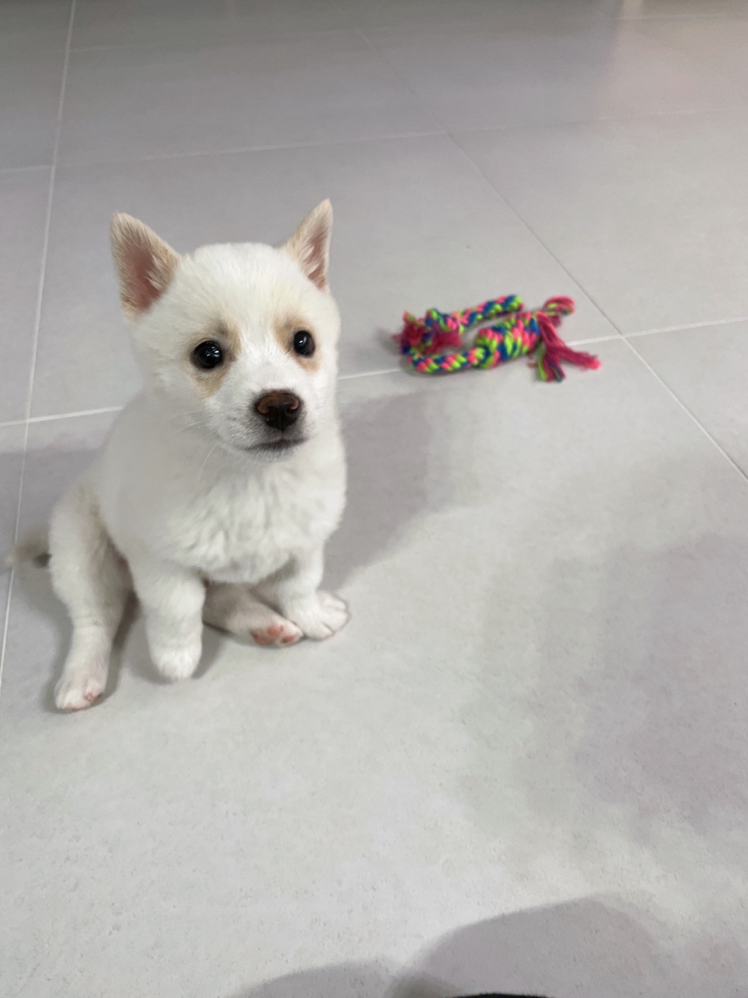 작성자 프로필 이미지