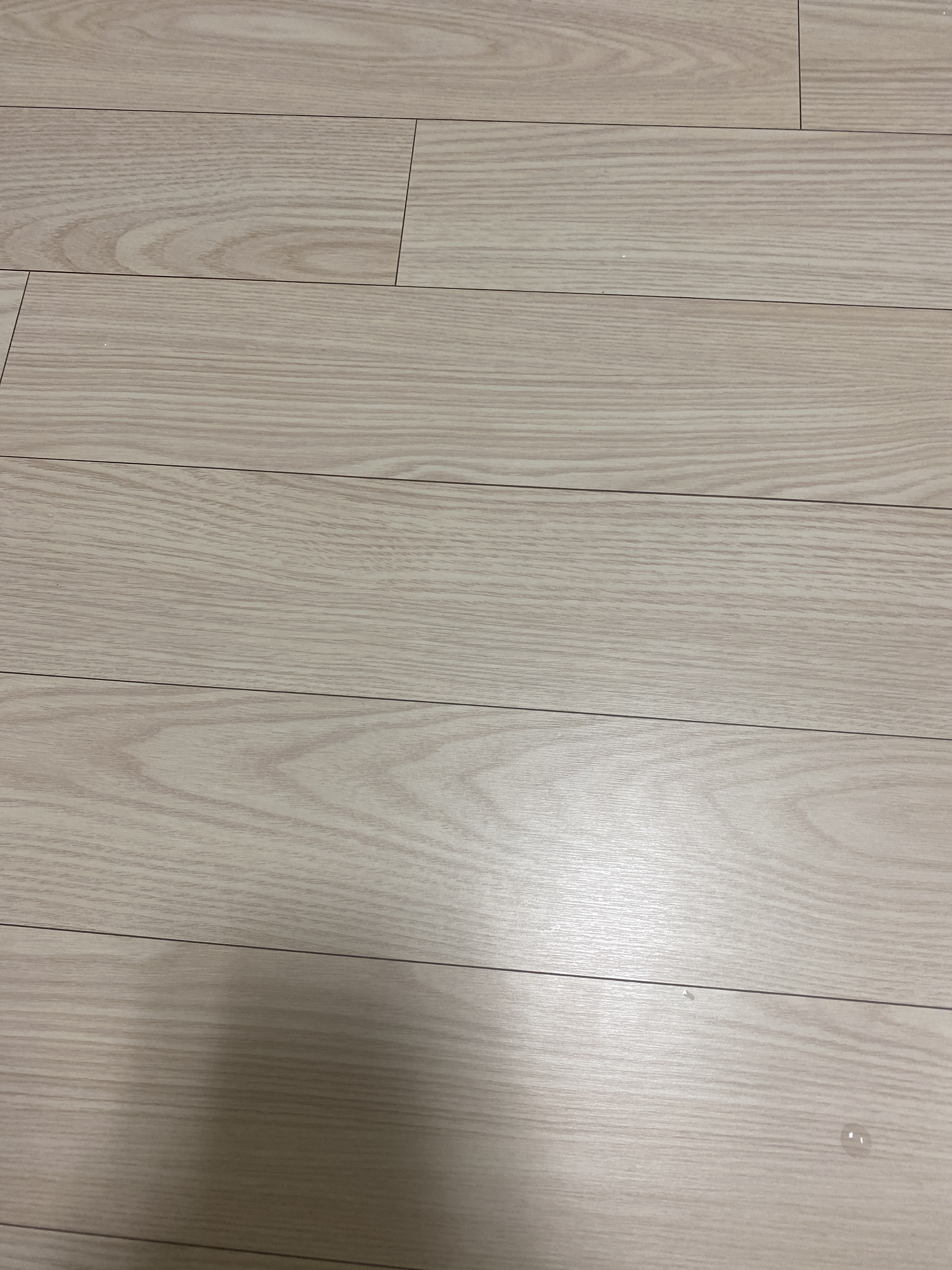 Dhdj 프로필 이미지