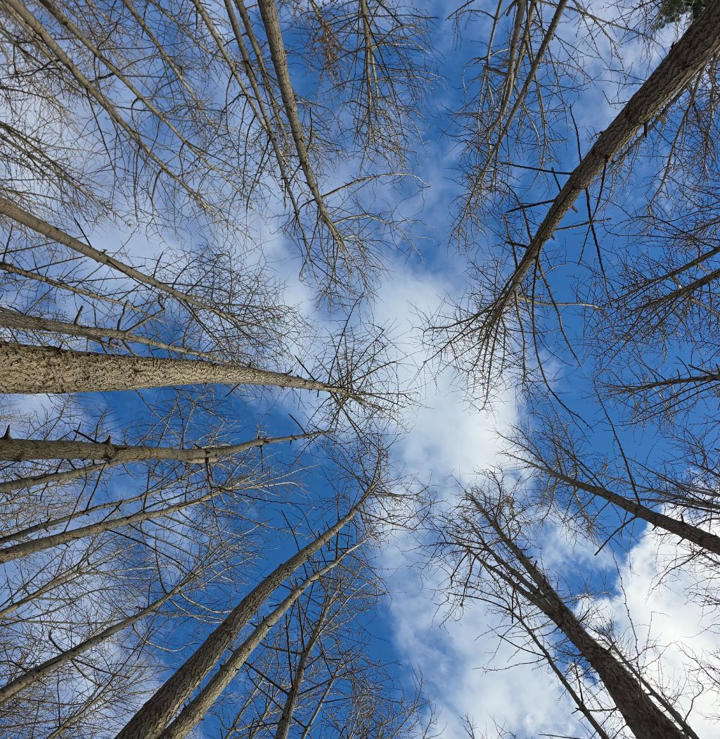 작성자 프로필 이미지