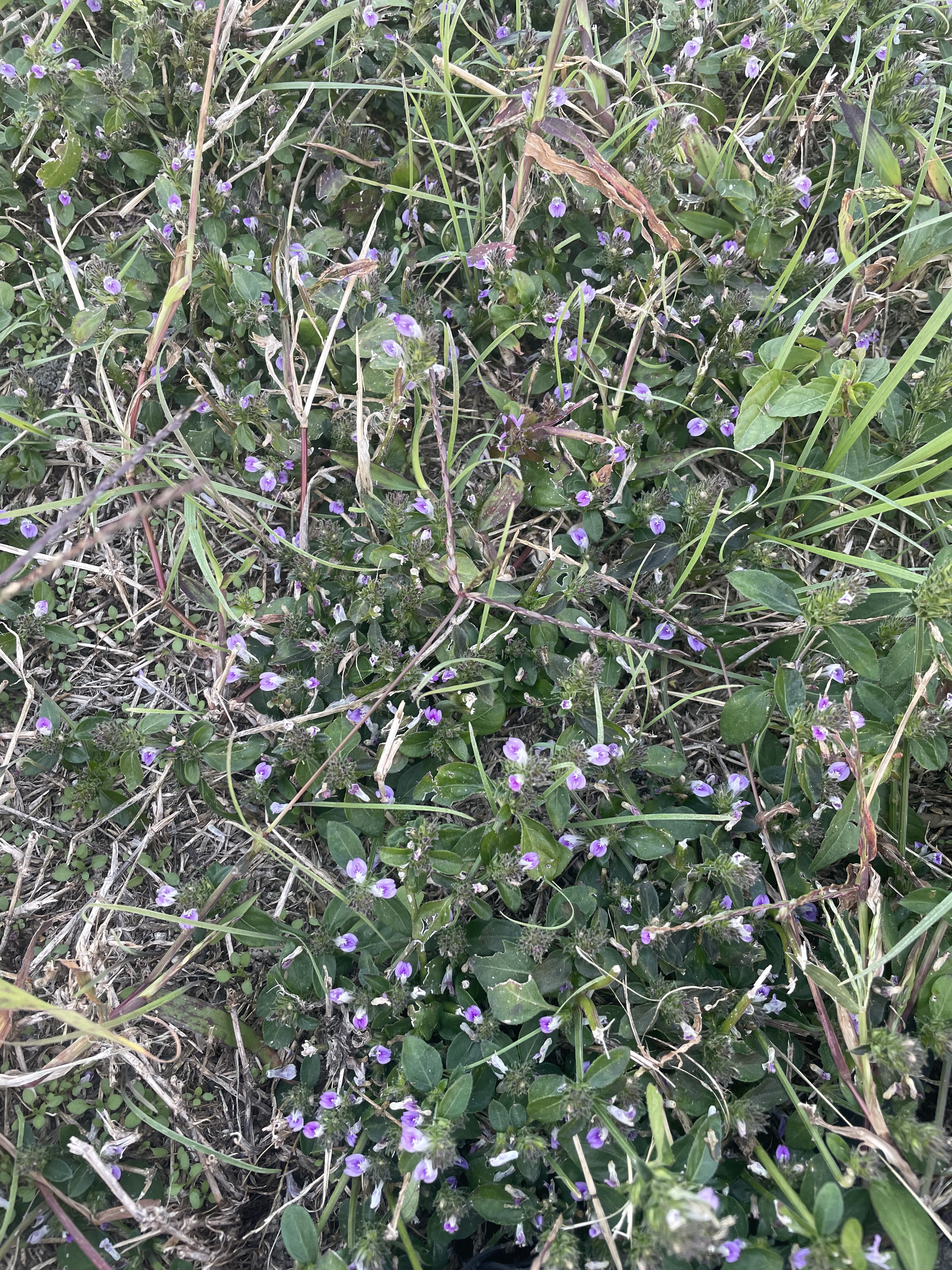 작성자 프로필 이미지