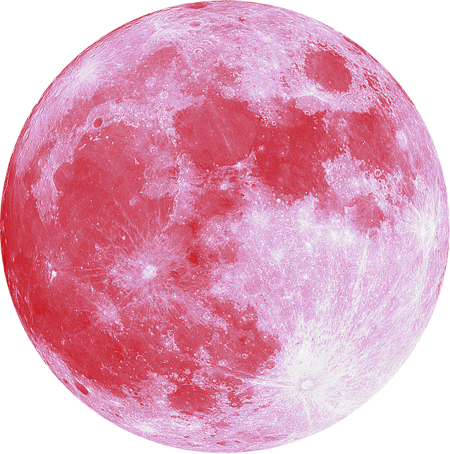 작성자 프로필 이미지