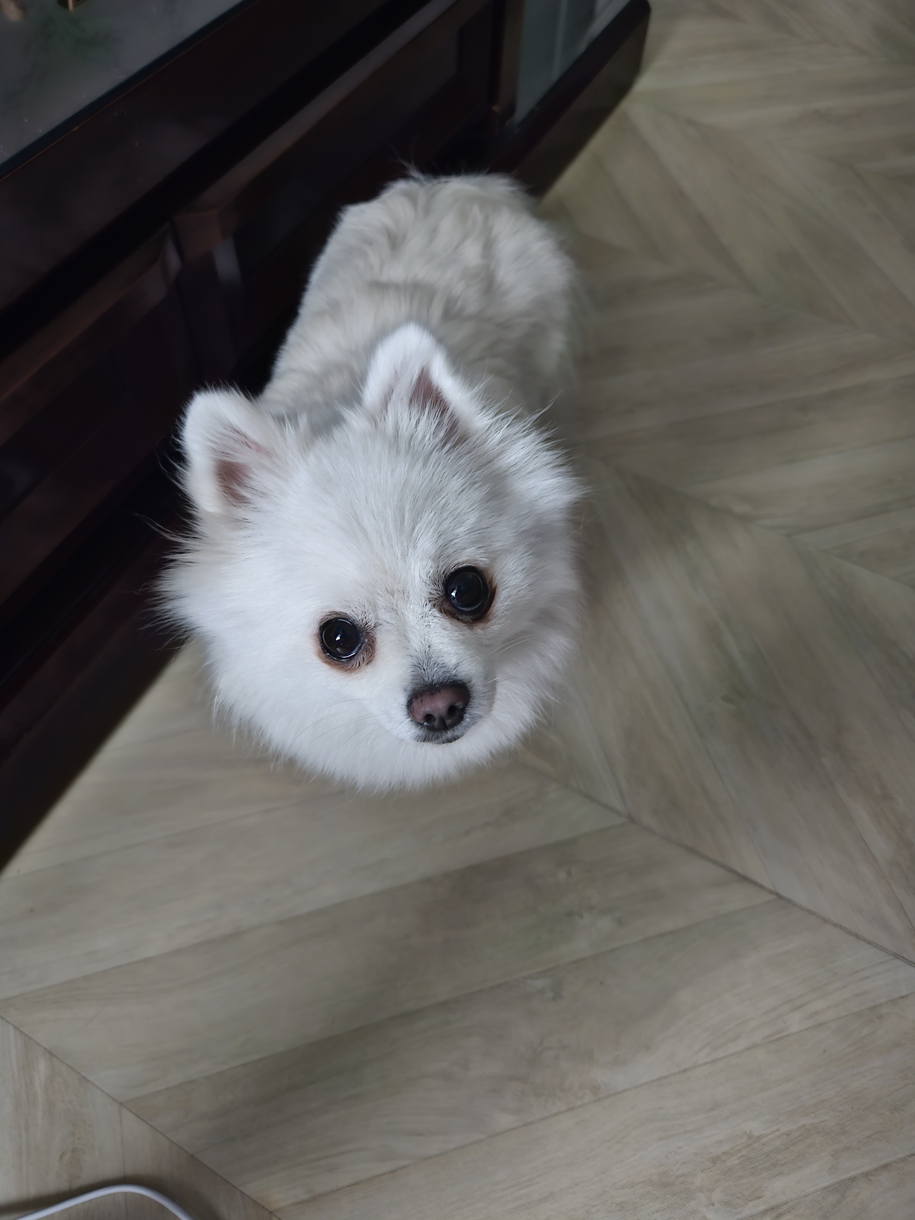 크리스티나 프로필 이미지