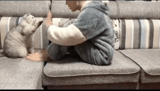 작성자 프로필 이미지