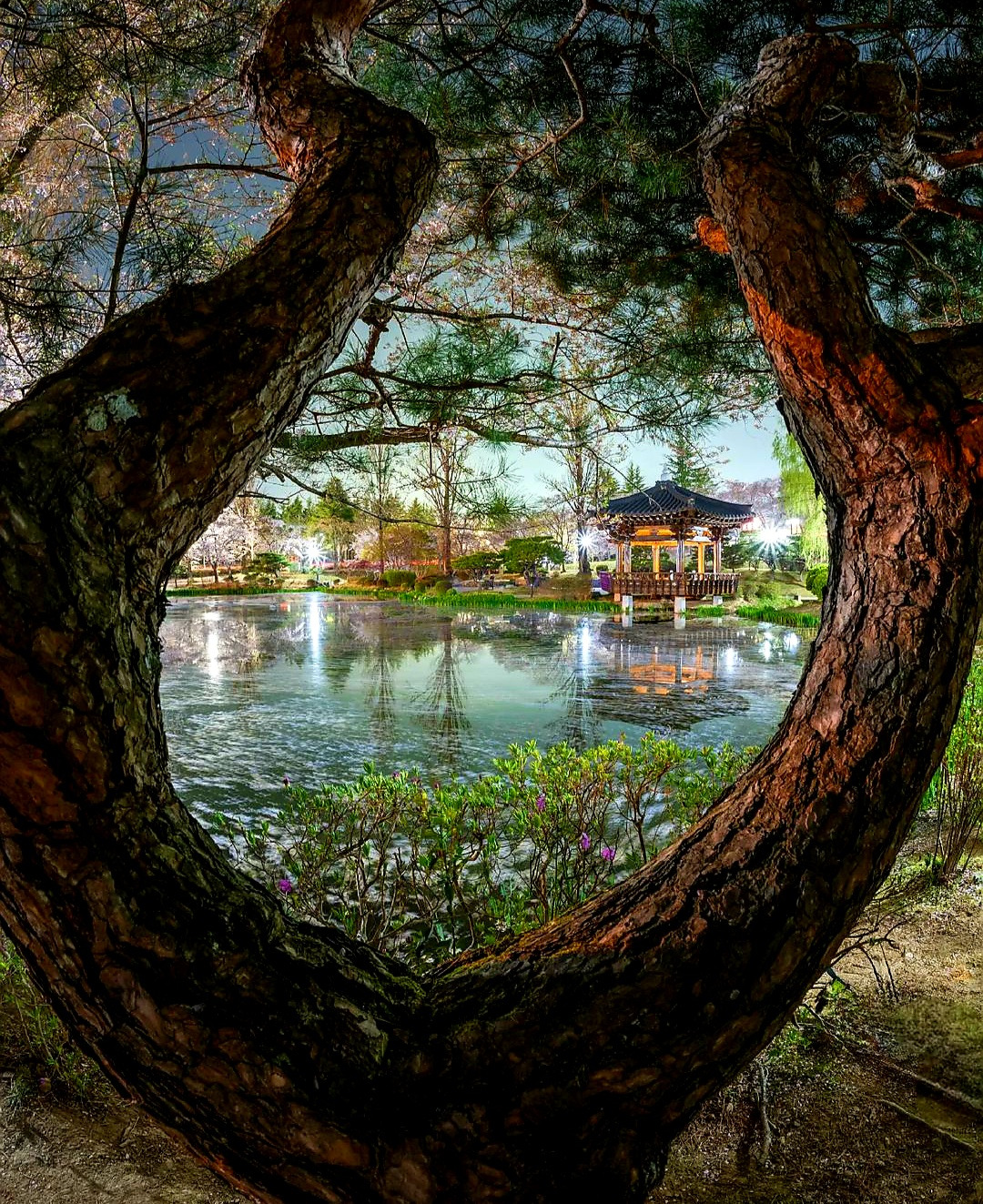 작성자 프로필 이미지