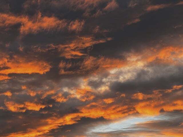 작성자 프로필 이미지