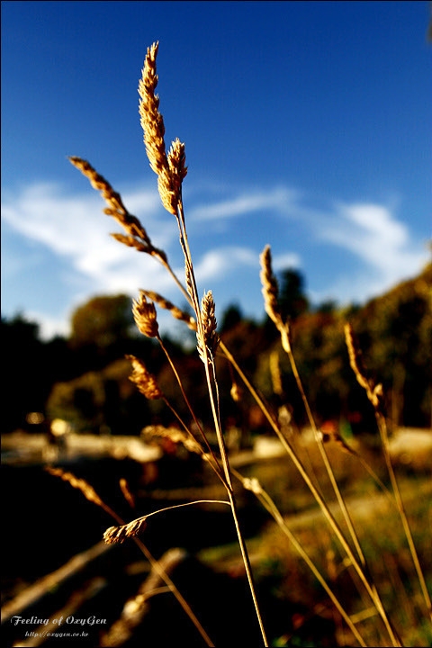 작성자 프로필 이미지