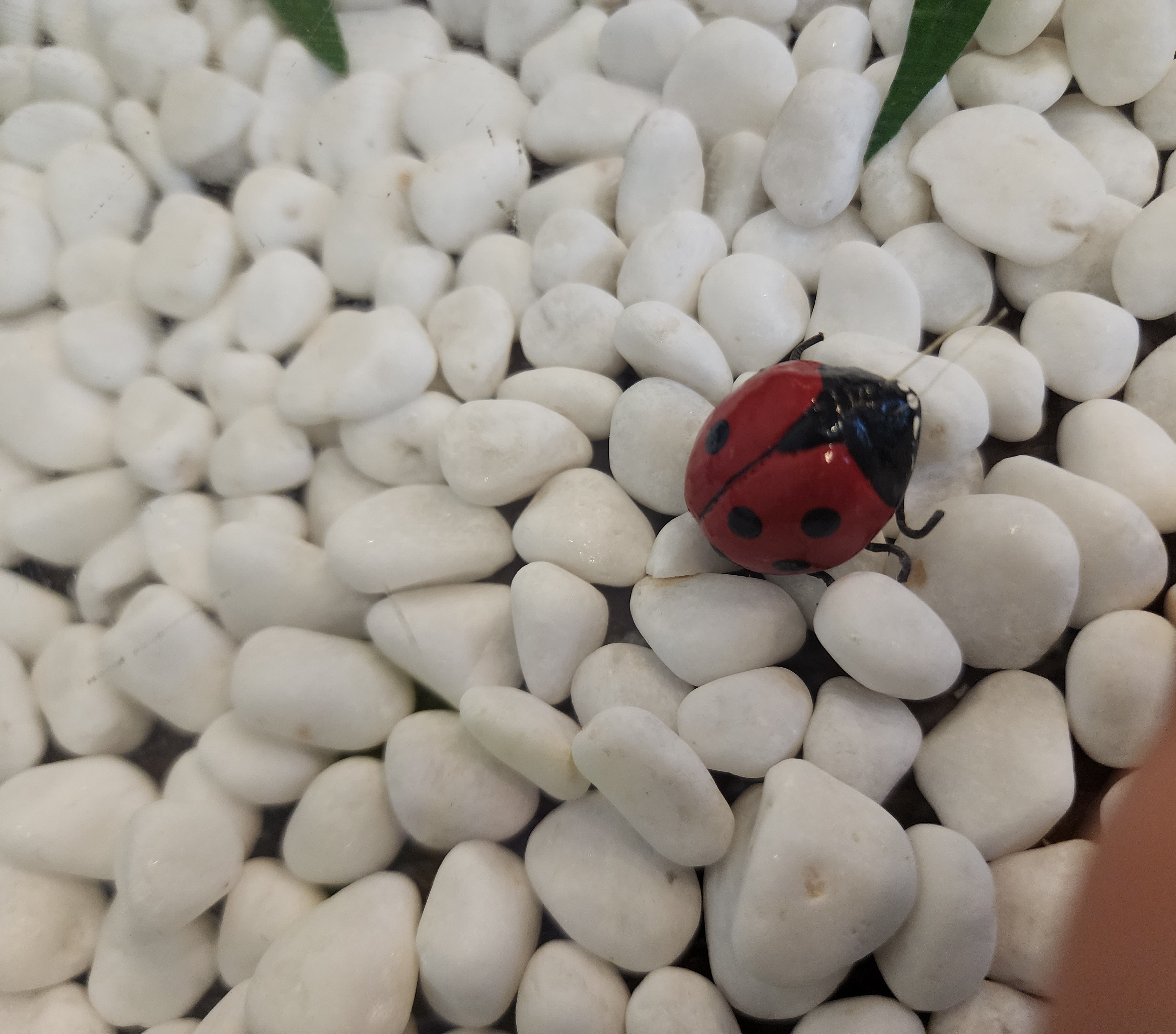 작성자 프로필 이미지