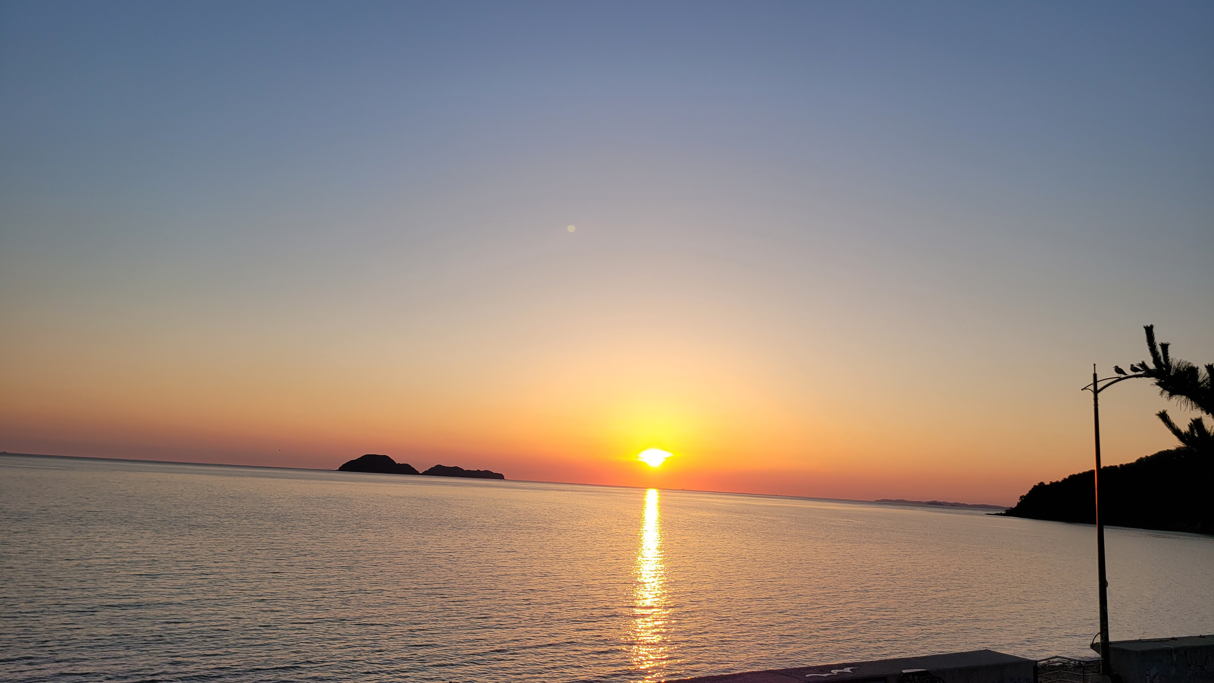 작성자 프로필 이미지