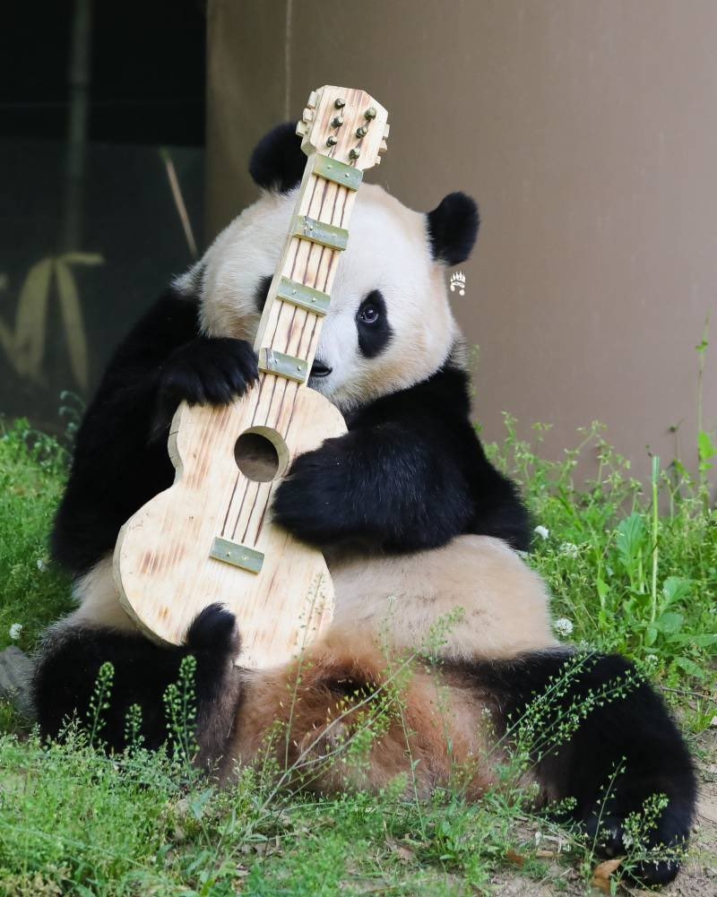 작성자 프로필 이미지