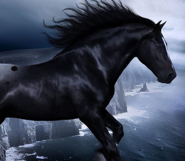 작성자 프로필 이미지