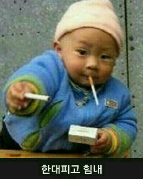 작성자 프로필 이미지