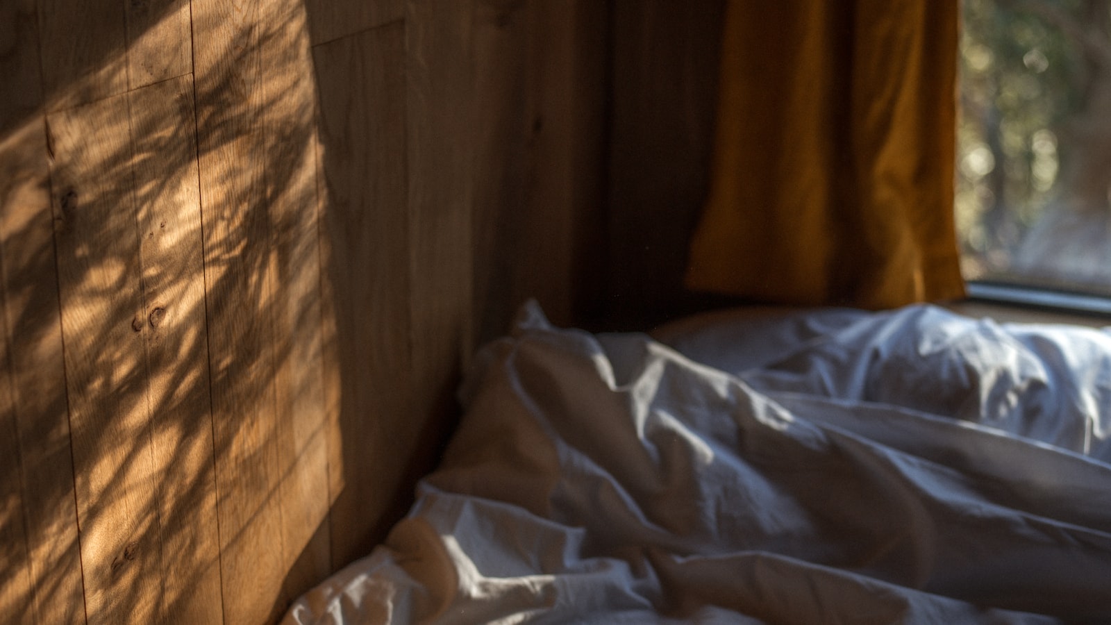 작성자 프로필 이미지