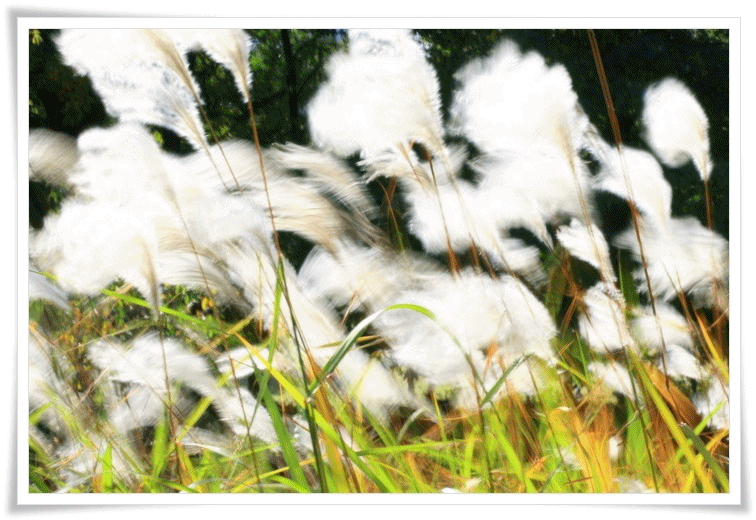 작성자 프로필 이미지