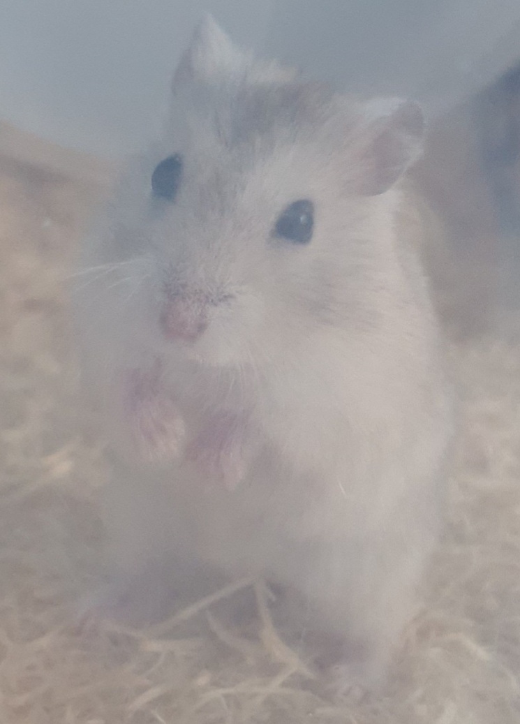 작성자 프로필 이미지