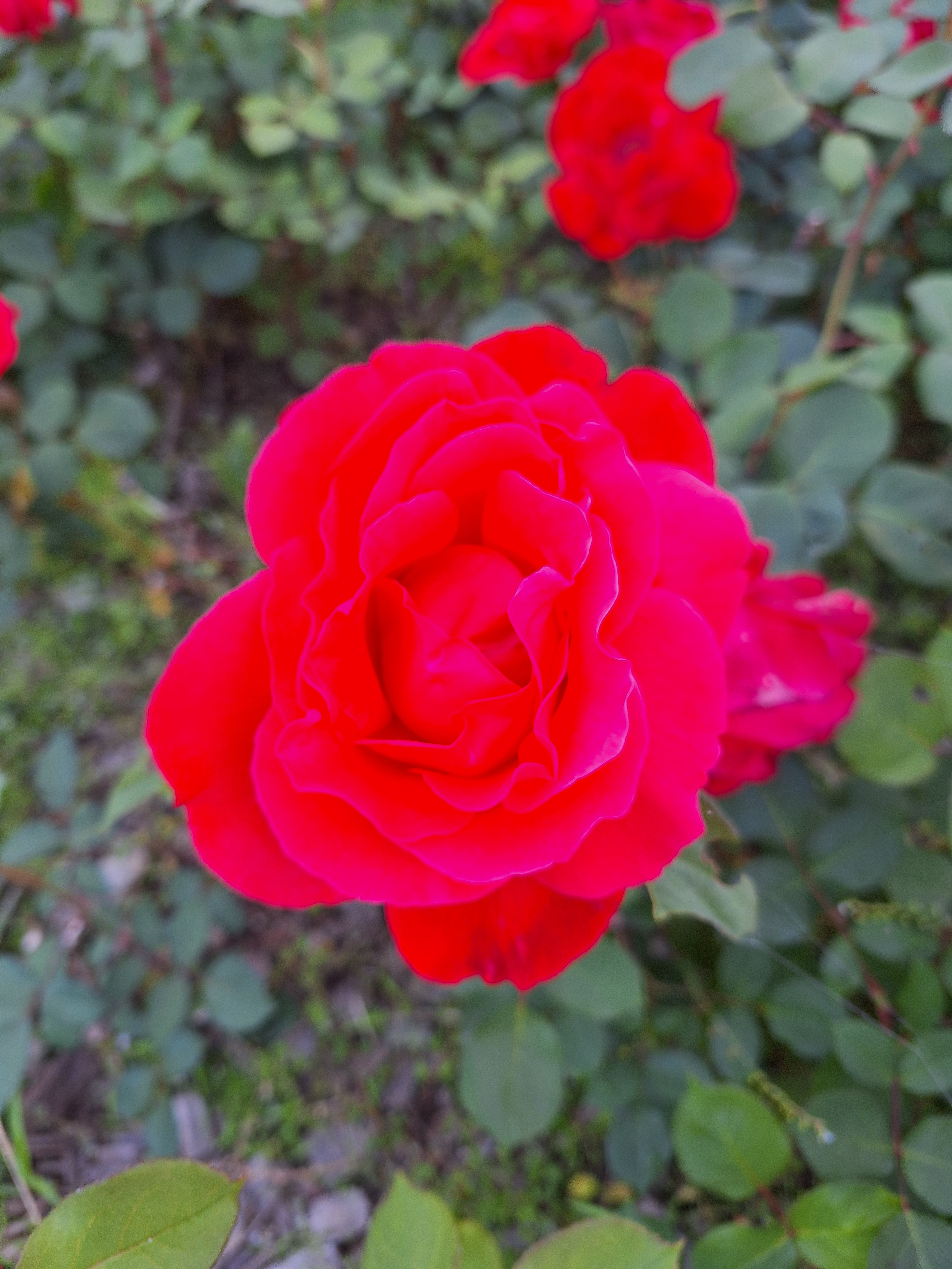 작성자 프로필 이미지