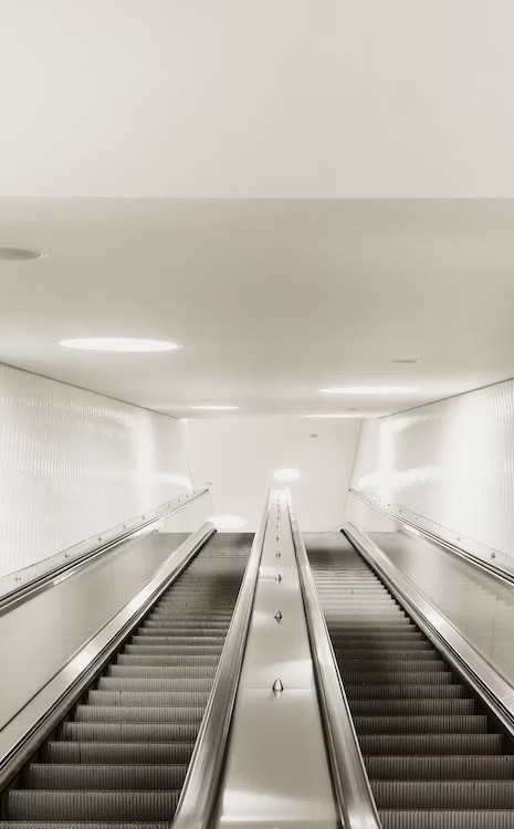 작성자 프로필 이미지