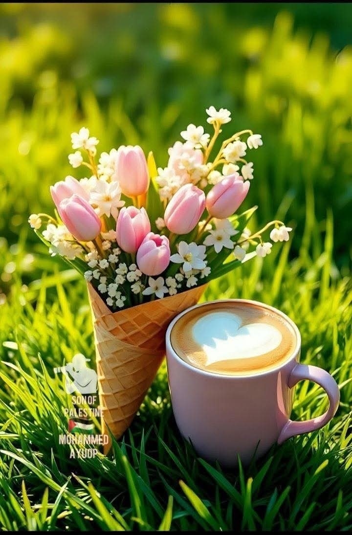 작성자 프로필 이미지