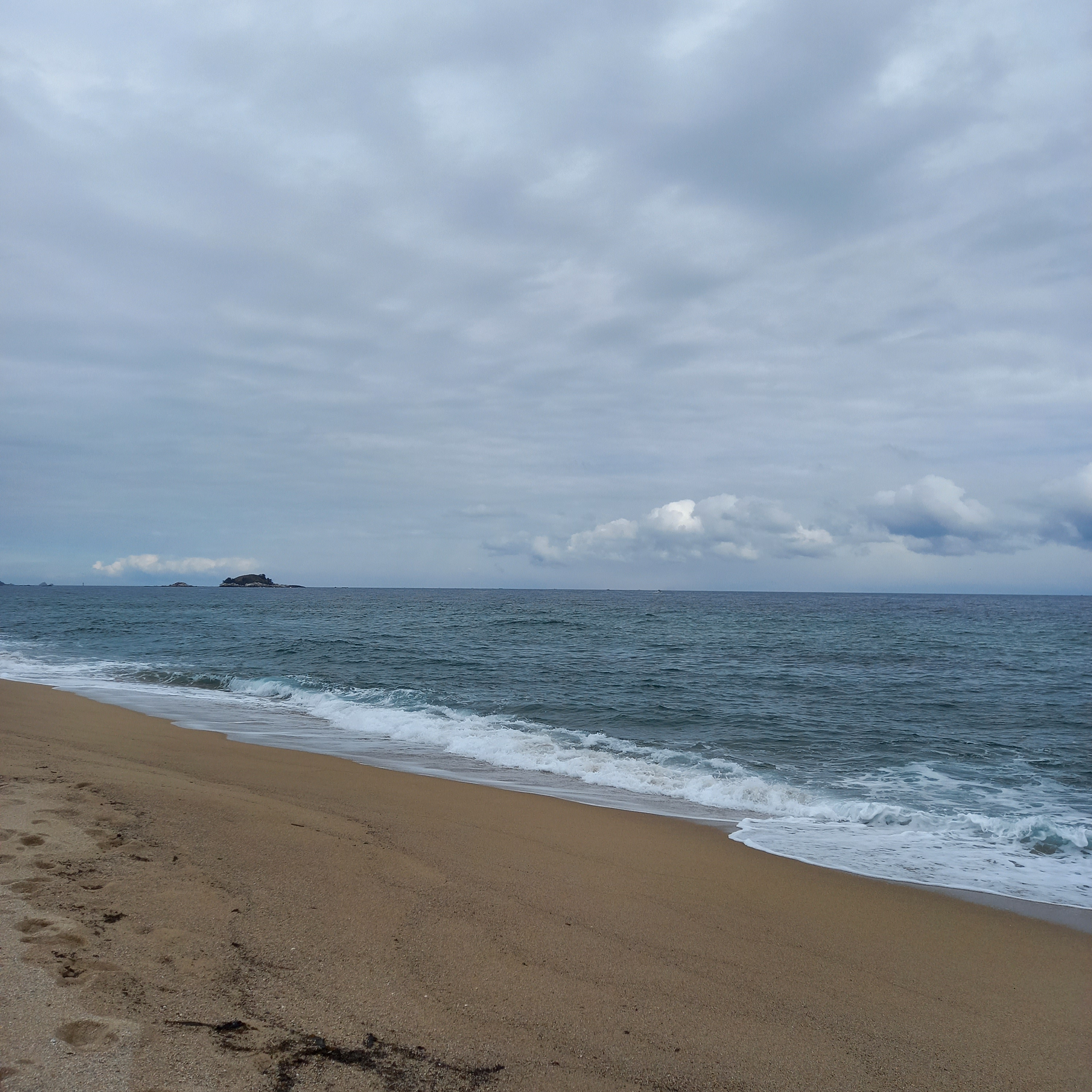 작성자 프로필 이미지