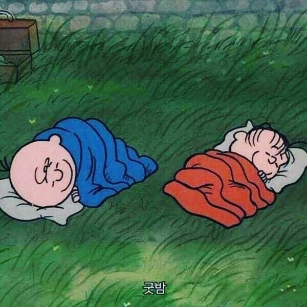 작성자 프로필 이미지