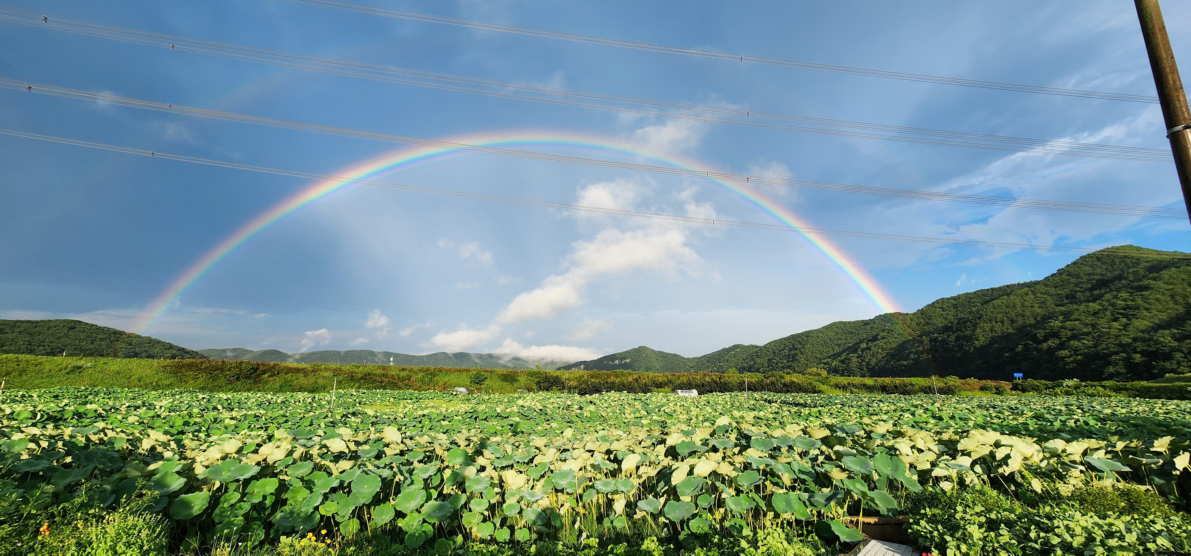 작성자 프로필 이미지
