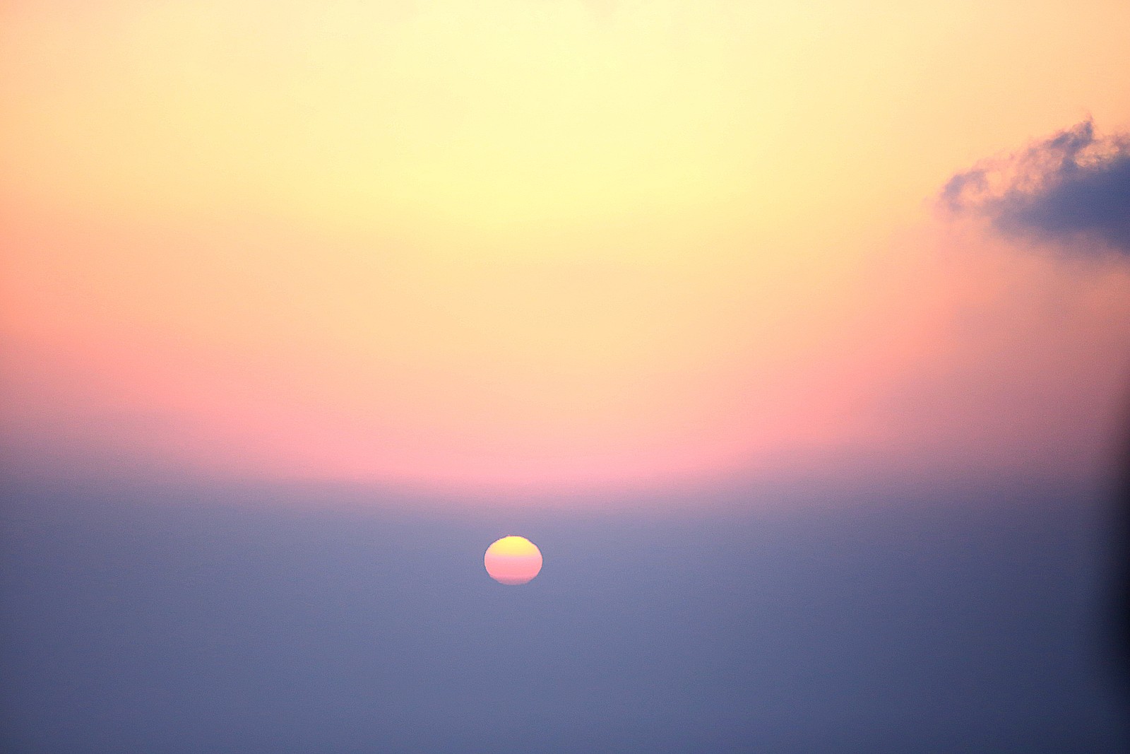 작성자 프로필 이미지