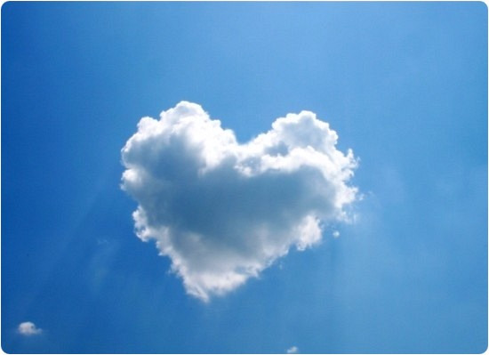 작성자 프로필 이미지