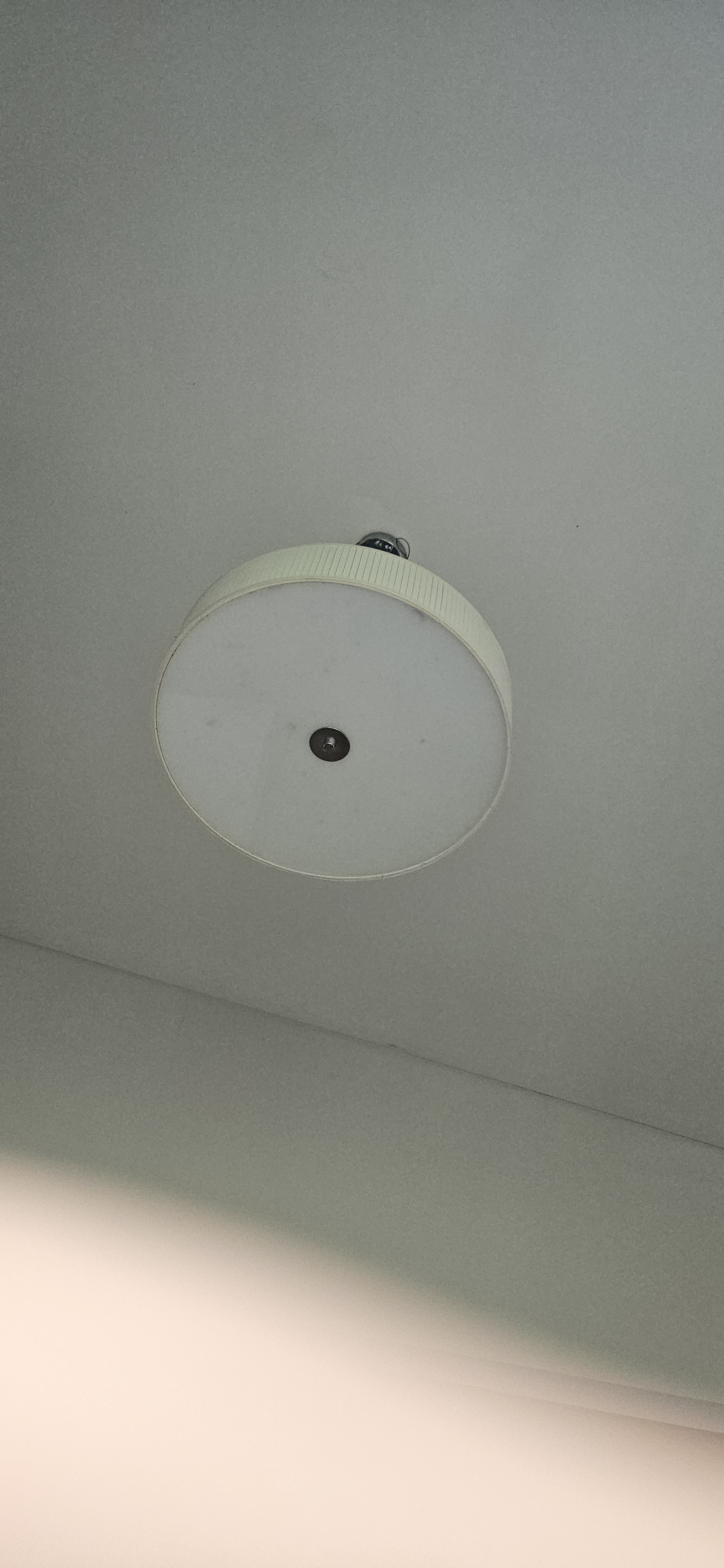 작성자 프로필 이미지