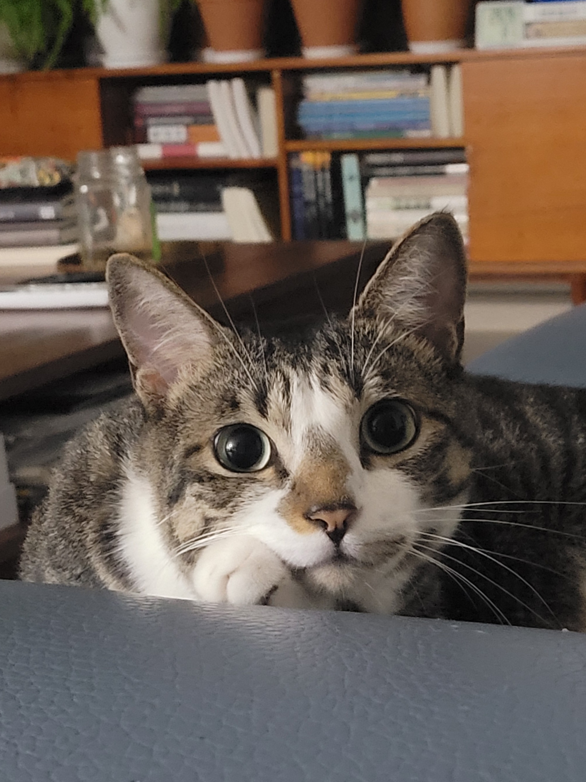 작성자 프로필 이미지